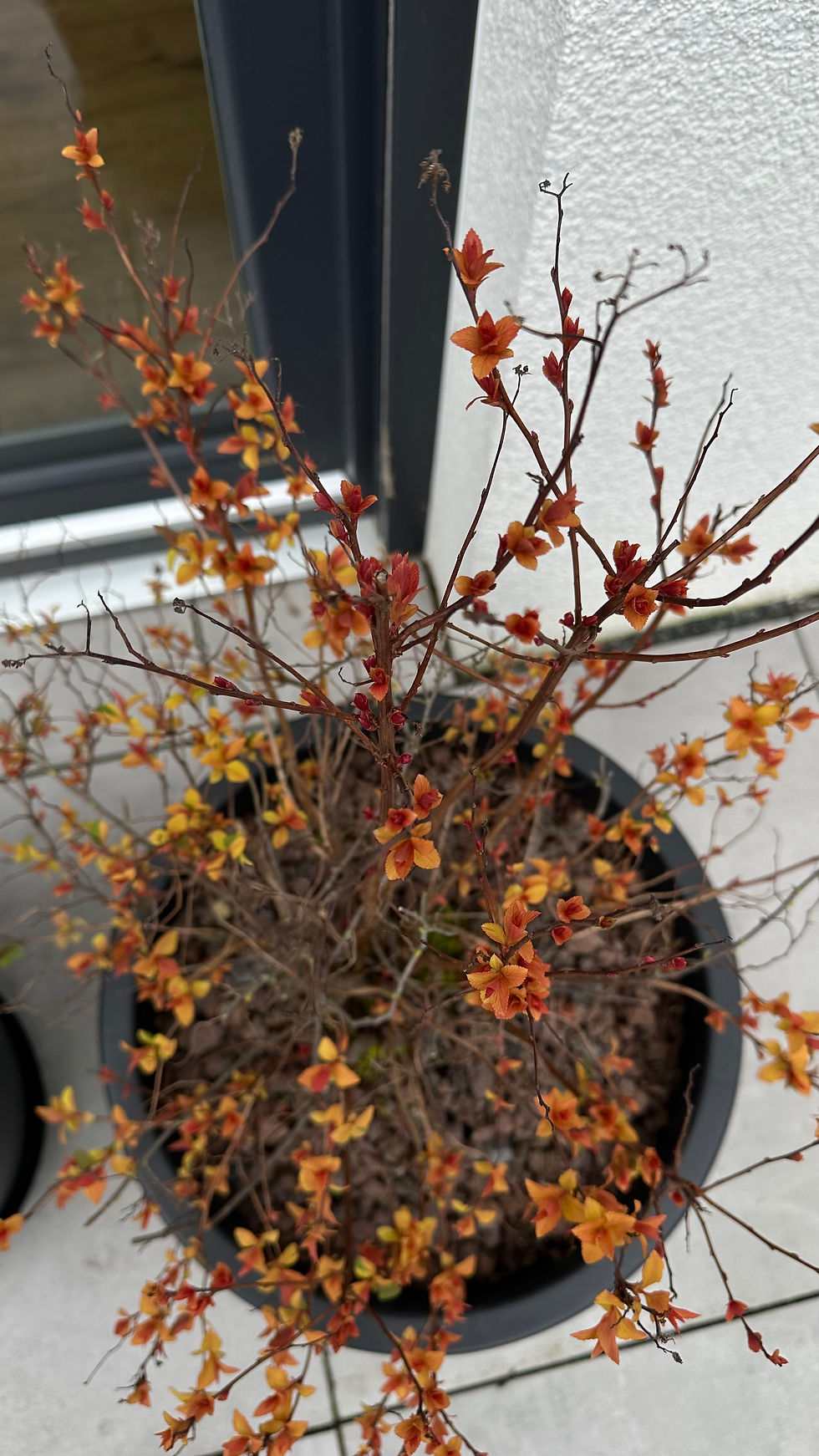 Frühling