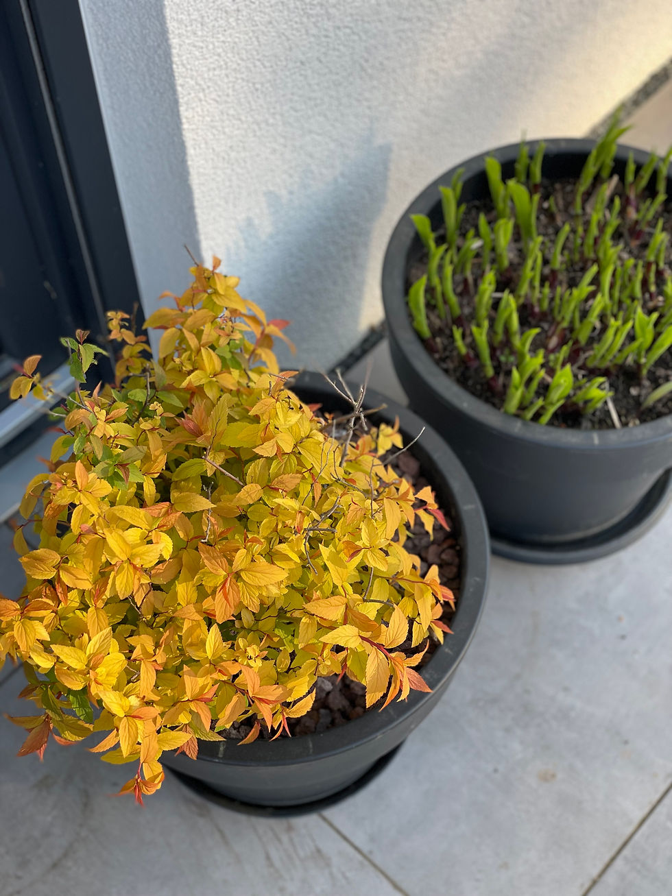 Frühling
