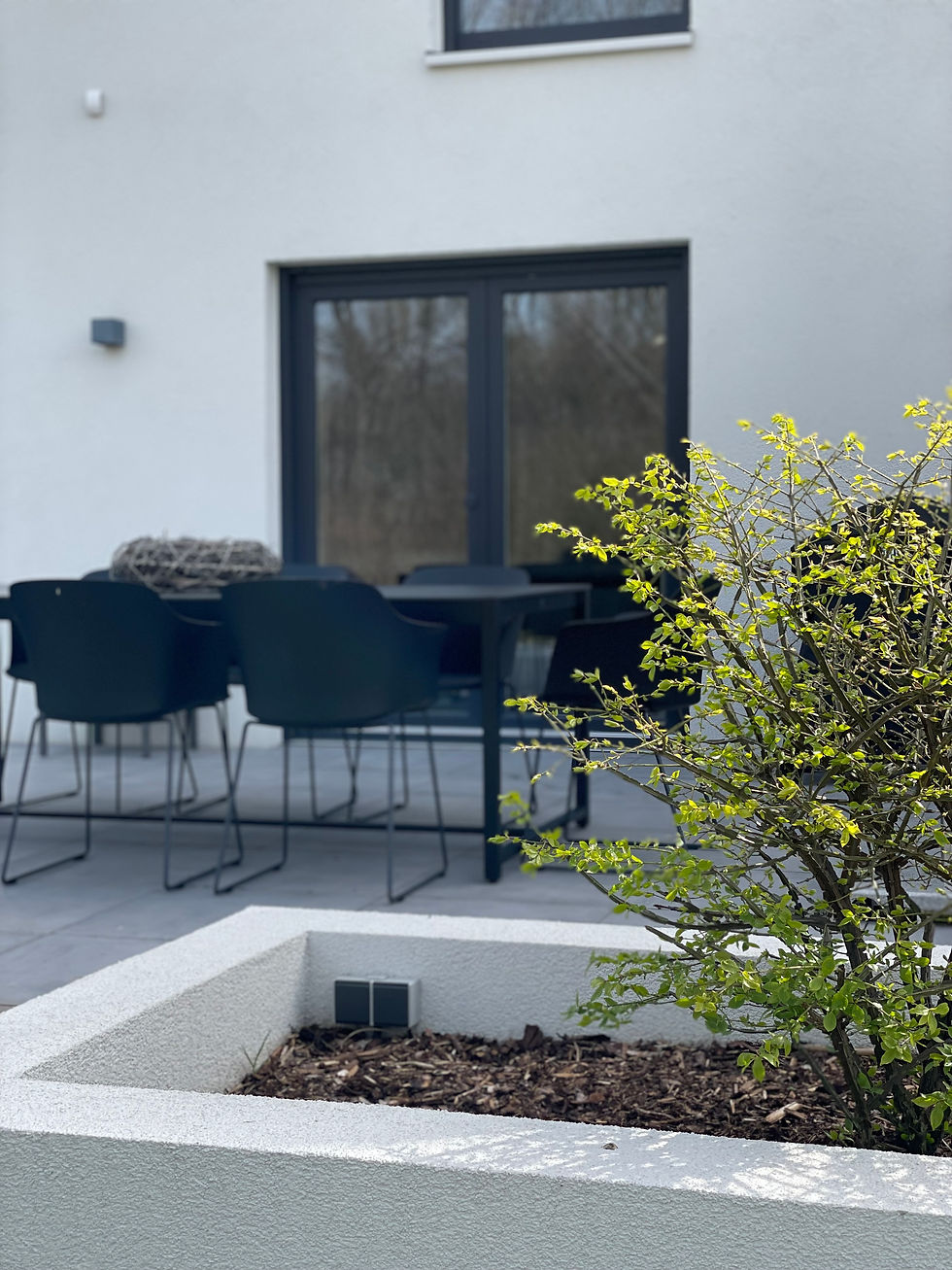 Frühling