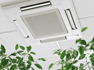Signs Your Home or Business Has Poor Indoor Air Quality: A Complete Guide