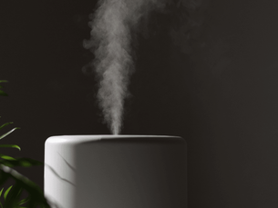 A white humidifier releases mist in a dim room. Green plant leaves are visible on the left, creating a calm atmosphere. Air purifier vs humidifier.