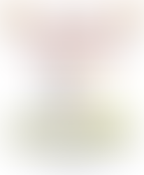 2021 Leaf Collection Schedule