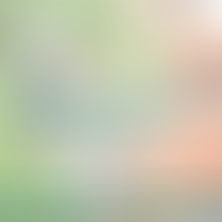 Trash Collection - Veterans Day