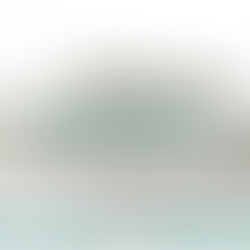 Township Christmas Tree Recycling