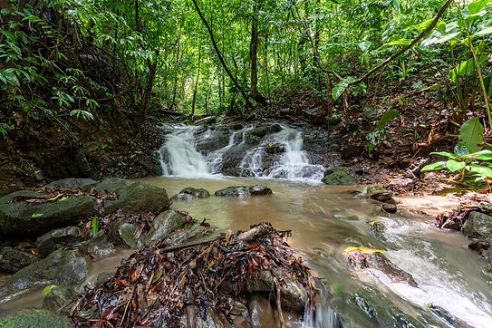 Copy of Natural Pool.jpg