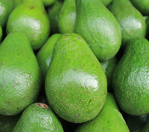 Avocado