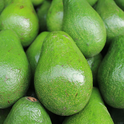 Avocado
