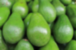 Avocado