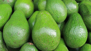 Fresh Del Monte partners with Managro to expand avocado and lime operations in Colombia