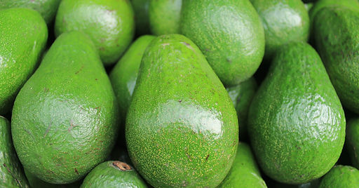 Avocado