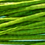 Thumbnail: Drum Stick Vegetable( সজনা )