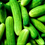 Thumbnail: Cucumber( শসা )