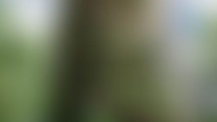 Tòa tháp đa chức năng Urupê - thiết kế sinh học ứng phó với đô thị hóa và biến đổi khí hậu