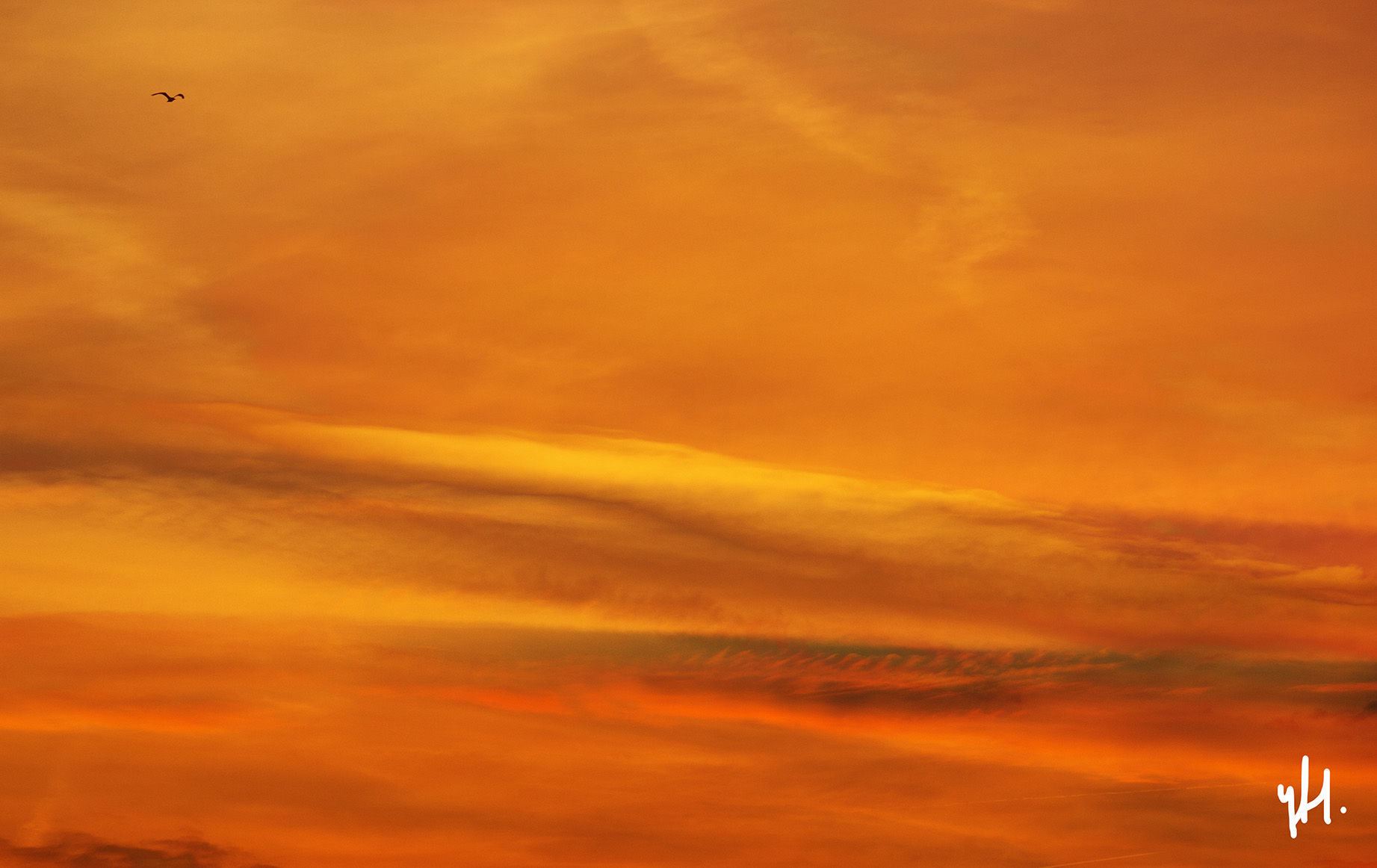 Digital artwork made by artist Yvonne Hakkert