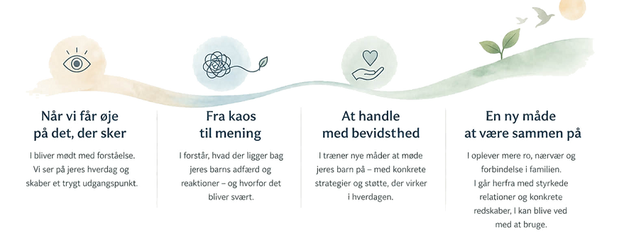 transparent_full_clean_edited.png