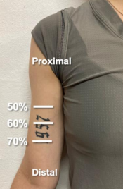 אזורי מדידה