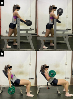 הדגמה של התרגילים