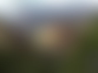 No Reason to Live (Novel extract)