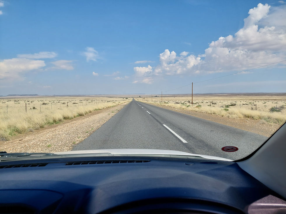 The Karoo - unending wilderness - stretches almost from Johannesburg all the way to the west coast - petrol stations about every 150kms.