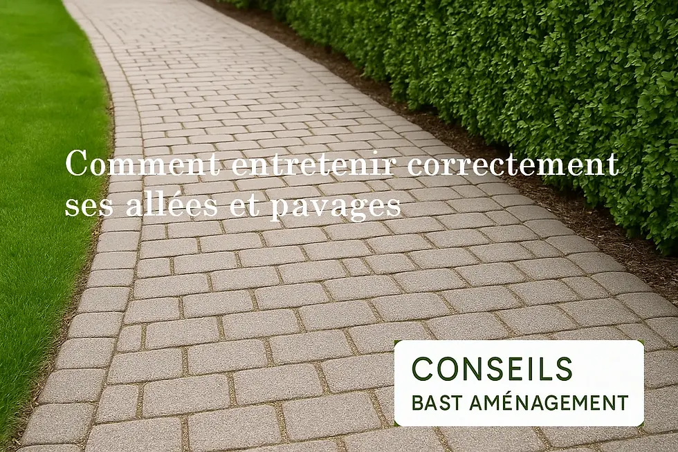 Comment entretenir correctement ses allées et pavages