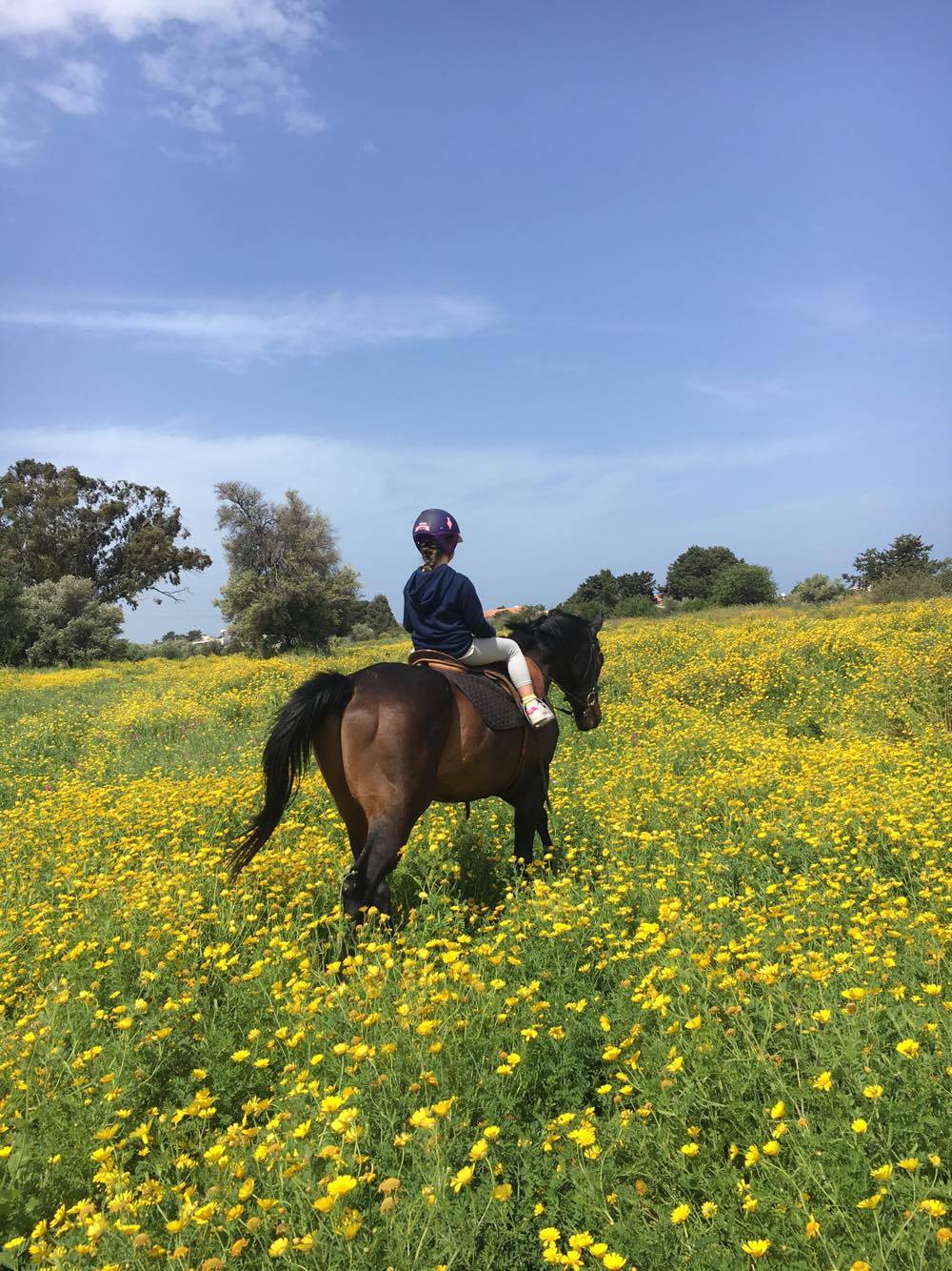 North Cyprus & Kyrenia Horse Riding, Hacks & Lessons.