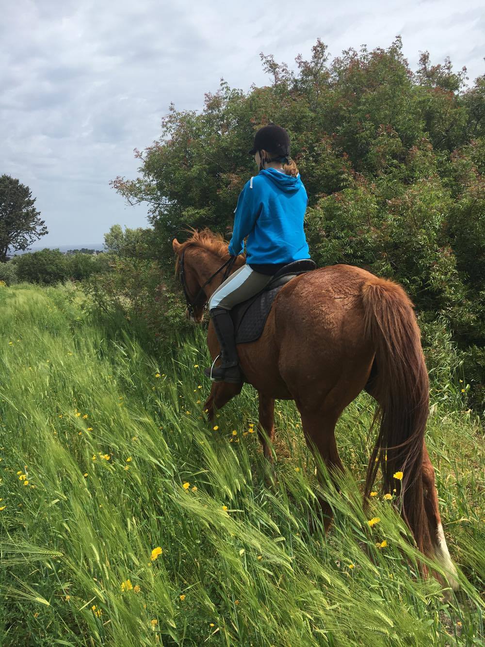 North Cyprus & Kyrenia Horse Riding, Hacks & Lessons.