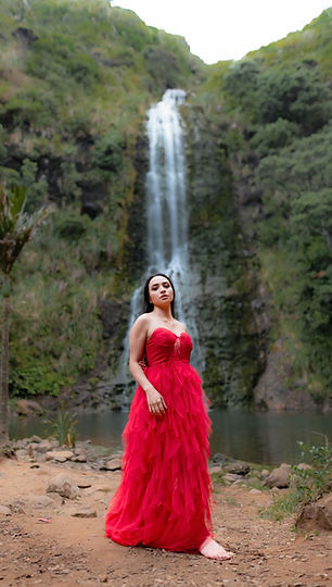 The Pageant Wardrobe red reign gown