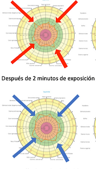 Captura de pantalla 2023-10-03 a la(s) 23.22.55.png