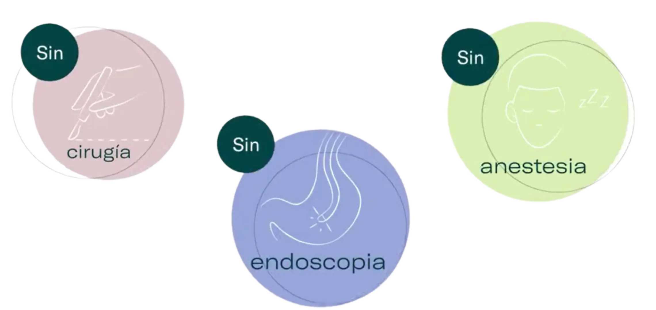 iconos_allurion.webp