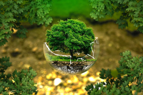 environmental-protection-326923_1280.jpg