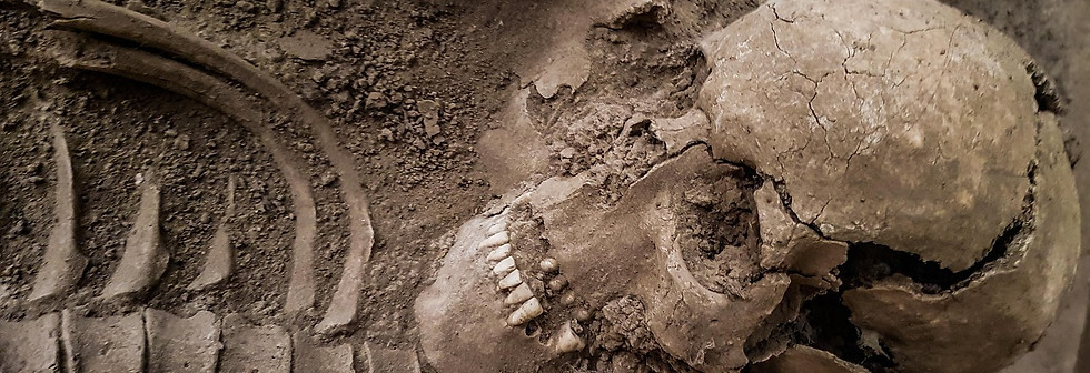 archaeology-5002482_1280.jpg