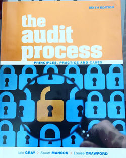 The Audit Process