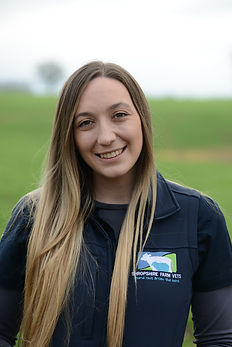 I joined Shropshire Farm Vets in January 2018.

Over the past five years working in reception and administration based roles, I have developed a wide range of knowledge that helps with my main responsibilities within the practice of diary management and communication with clients.

Outside of work you can find me exploring the countryside with my partner Ryan and show cocker Mabel.