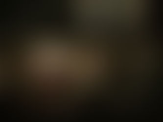 Mothman Arrested for Breaking & Entering: "The light was on"