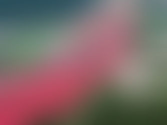 Kool-Aid Factory Spills Product in Kanawha River