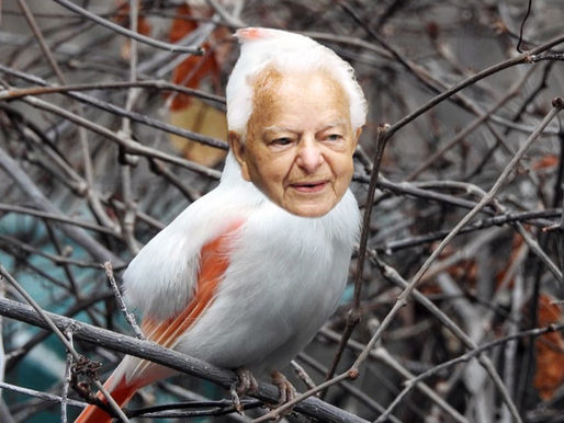 Robert C. Named State Bird