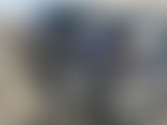 Babydog Justice Causes 28 Car Pile-up on I-77 After Winning Vaccination Lottery