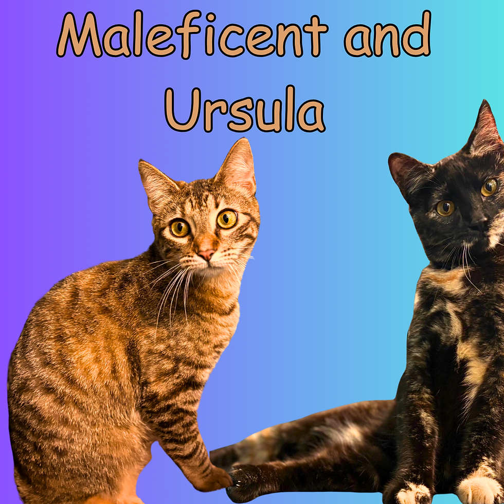 Maleficent and Ursula