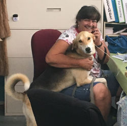 Hunter thinking he's a lap dog