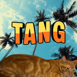 Tang