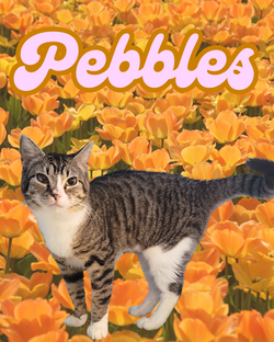 Pebbles