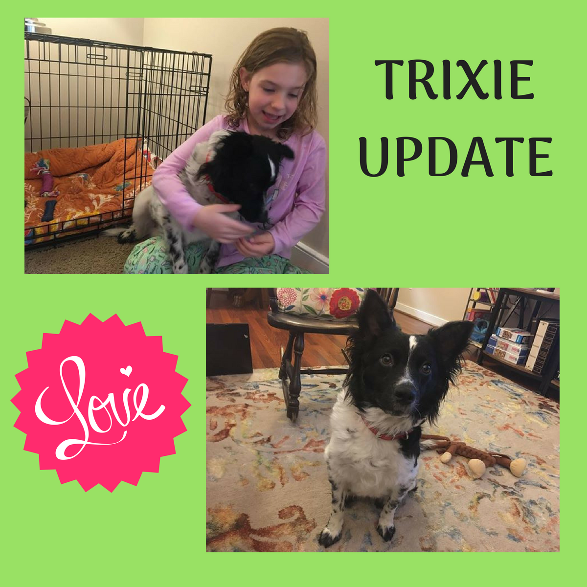 Trixie.