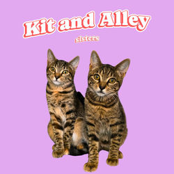 kit and alley