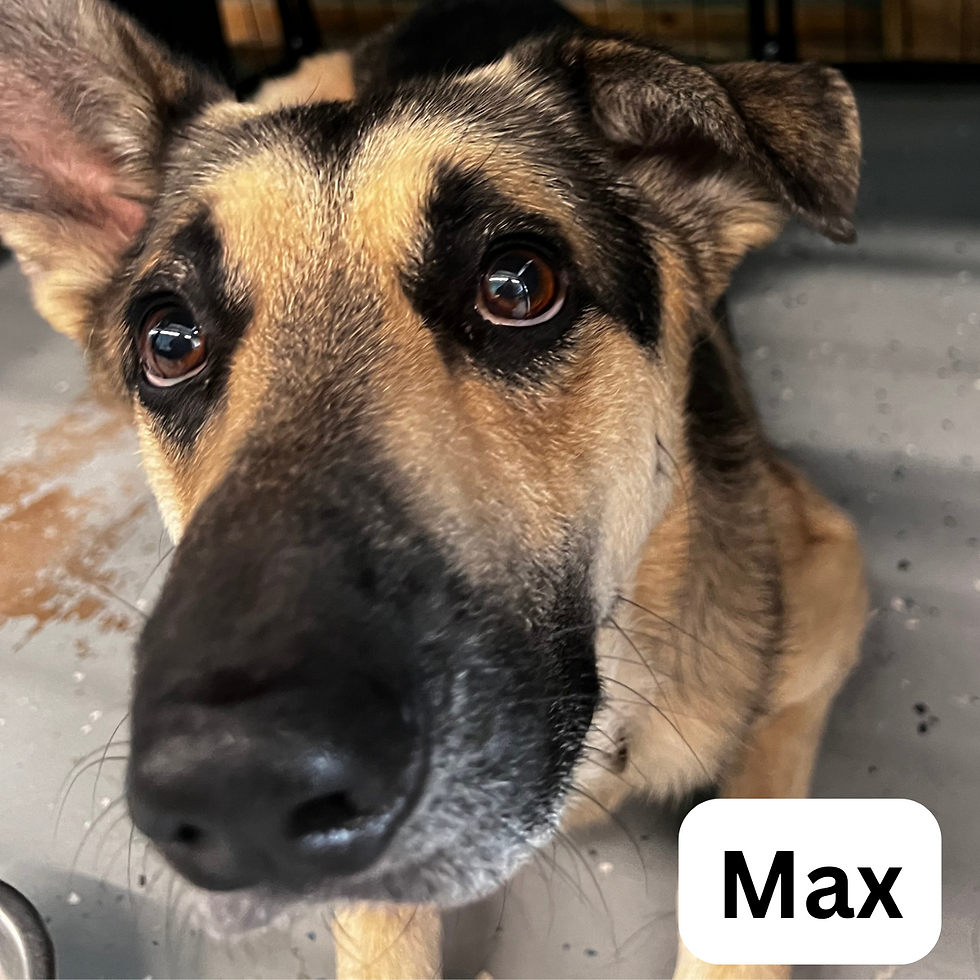 Max(3)