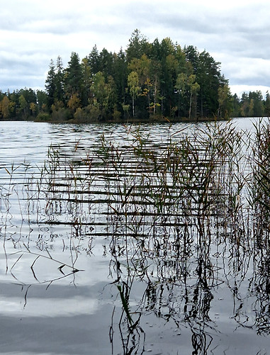 20231113_110136 (1).jpg