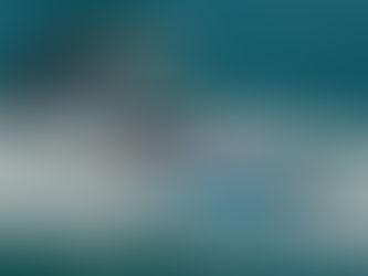 Feel The Thrill of Water Sports in The Hamptons