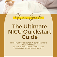 nicu lead magnet.png