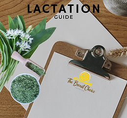The Breast Choice Lactation Herbal Guide