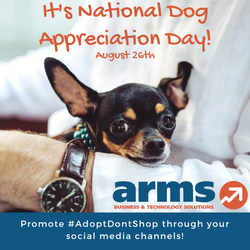 Yellow Gray Simple Dog Photo Take Your D