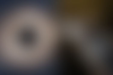 Solar Eclipse and Your Pet: How to Keep Your Furry Friend Safe